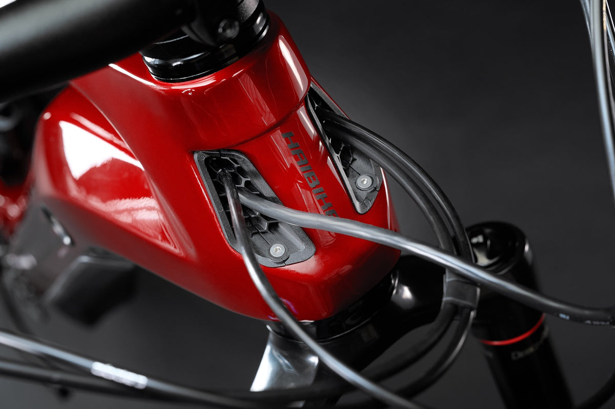AllMtn CF 12 MTB Fully - Gloss Matte Dyn Red Black