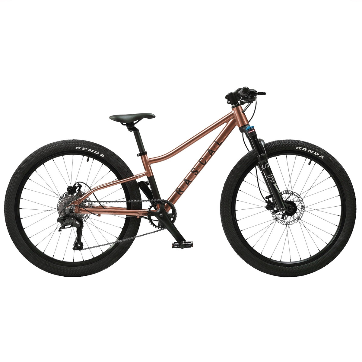 Wild 24 - Bronze