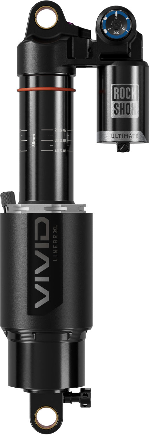 Vivid Ultimate DH RC2 D1, Standard/Standard - 250 mm
