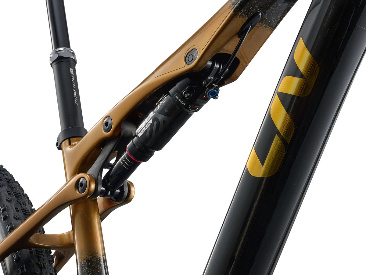 Pique Advanced SL 0 - Raw Carbon/Steampunk