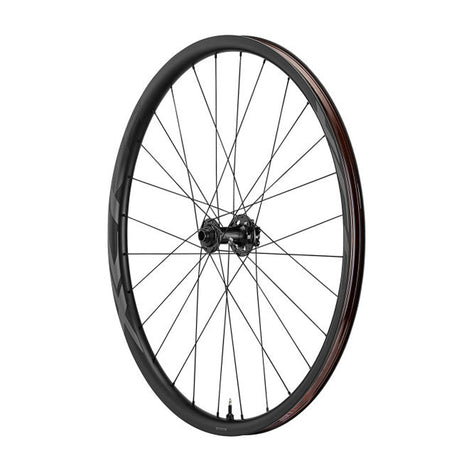 XCR 2 MTB Carbon 29 - Vorderrad