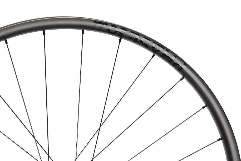 Phase 30 Enduro Strong 29" Carbon, 6 Loch, 12x157 mm, Shimano Micro Spline - schwarz