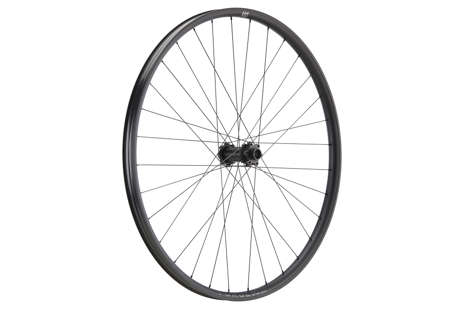 Forge 30 DH Strong 29" Aluminium, 6 Loch, 15/20x110 mm - schwarz