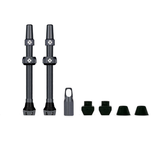 Valves V2 pour pneus Tubeless - gris - VTT & Route