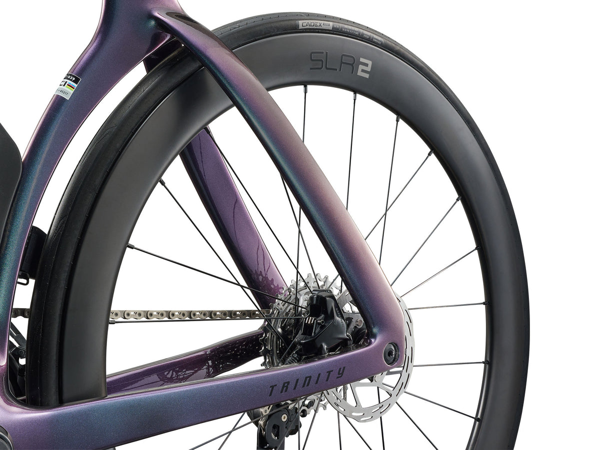 Trinity Advanced SL 2 - Carbon/BlueDragonfly